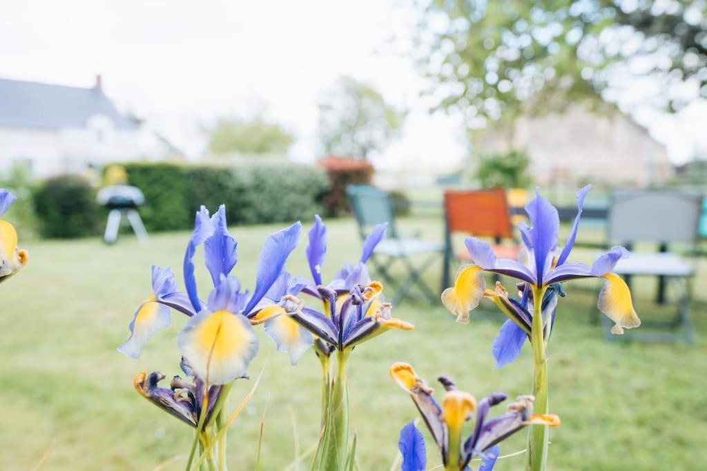 Le Beaumont • La Belle Campagne • La Plenitude Villa Déols Kültér fotó